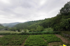 16.05.2019 13:10:25 