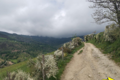16.05.2019 13:52:31 