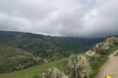 16.05.2019 13:52:32 