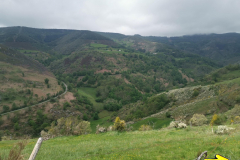 16.05.2019 13:56:08 