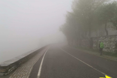 17.05.2019 07:54:00 