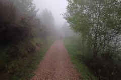 17.05.2019 08:03:27 