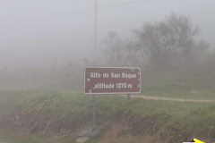 17.05.2019 08:49:18 