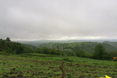 18.05.2019 08:52:39 