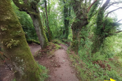 18.05.2019 09:51:36 