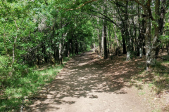 19.05.2019 12:16:53 