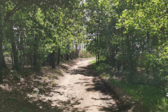 19.05.2019 12:16:57 