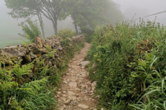 20.05.2019 07:47:49 
