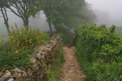 20.05.2019 07:48:01 