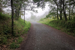 20.05.2019 09:09:41 