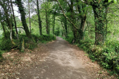 20.05.2019 10:06:44 