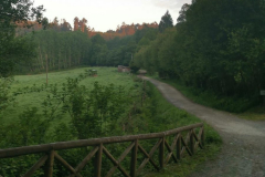 21.05.2019 07:21:05 