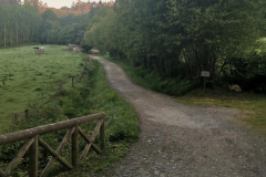 21.05.2019 07:21:07 
