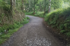 21.05.2019 07:25:01 