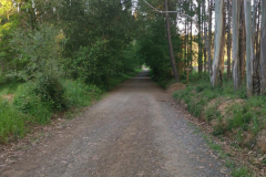 21.05.2019 08:05:41 
