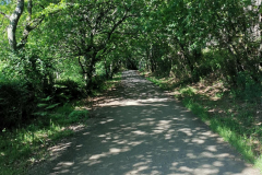 21.05.2019 11:05:27 