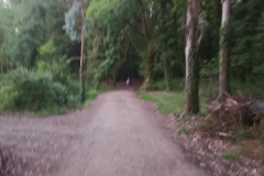 22.05.2019 07:01:20 