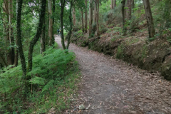 23.05.2019 09:03:04 