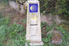 24.05.2019 07:02:29 
