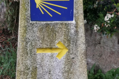 24.05.2019 07:02:36 