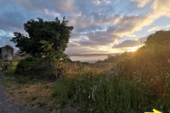 24.05.2019 07:31:40 