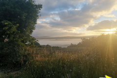 24.05.2019 07:31:42 
