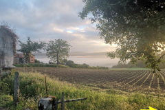 24.05.2019 07:31:56 