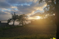 24.05.2019 07:32:24 