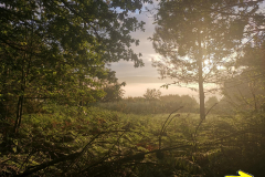 24.05.2019 07:39:54 