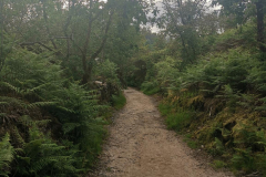 24.05.2019 08:36:34 