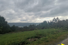 24.05.2019 09:12:39 