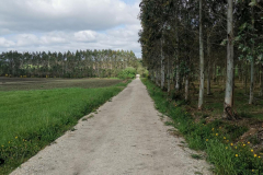 24.05.2019 11:07:57 
