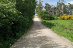 24.05.2019 11:25:38 