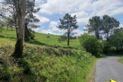 24.05.2019 13:28:05 