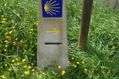 24.05.2019 13:44:24 