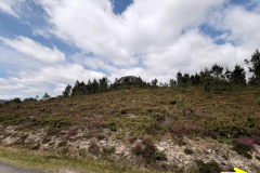 24.05.2019 14:01:51 