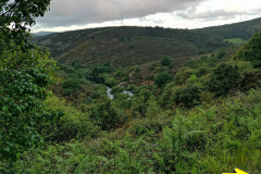 25.05.2019 07:35:23 