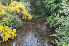 25.05.2019 07:43:50 