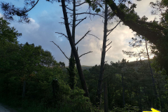 25.05.2019 07:53:18 