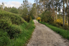 25.05.2019 08:09:48 
