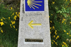 25.05.2019 08:10:48 