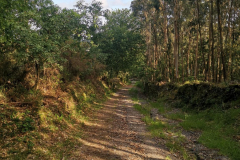 25.05.2019 09:38:36 