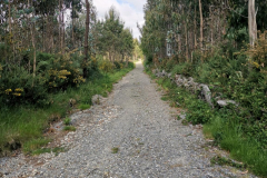 25.05.2019 10:23:05 