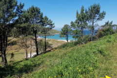 25.05.2019 12:57:39 