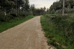 26.05.2019 07:14:19 