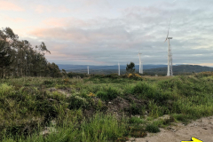 26.05.2019 07:17:19 