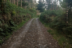 26.05.2019 08:07:04 