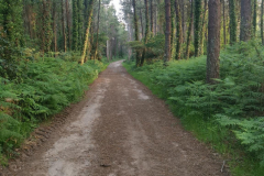 26.05.2019 08:16:00 