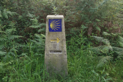 26.05.2019 08:16:13 