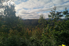 26.05.2019 08:40:32 